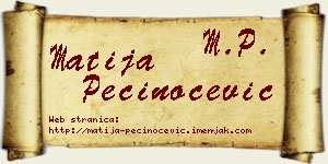 Matija Pečinoćević vizit kartica